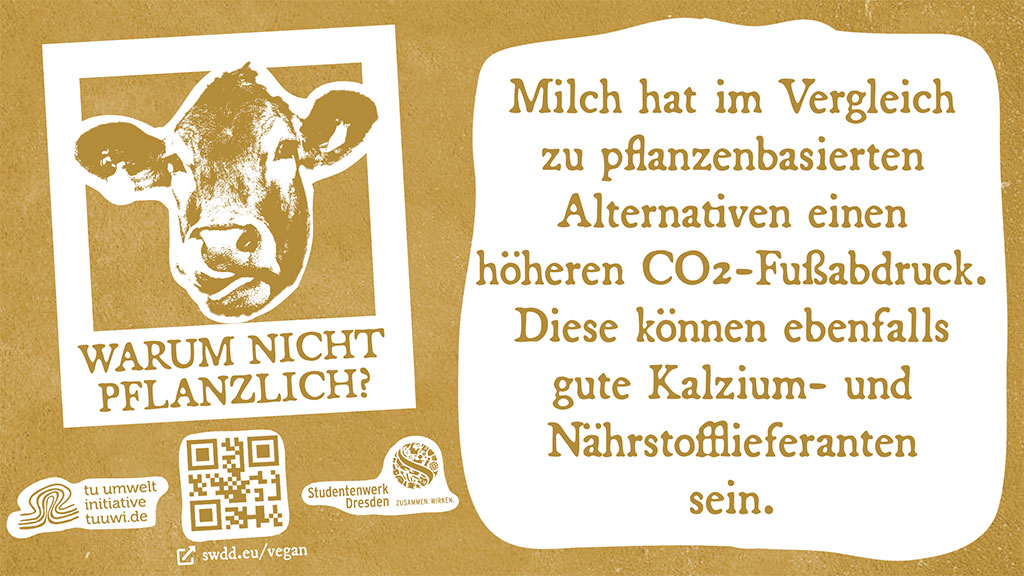 Illustration: Plant-based alternatives to cow's milk