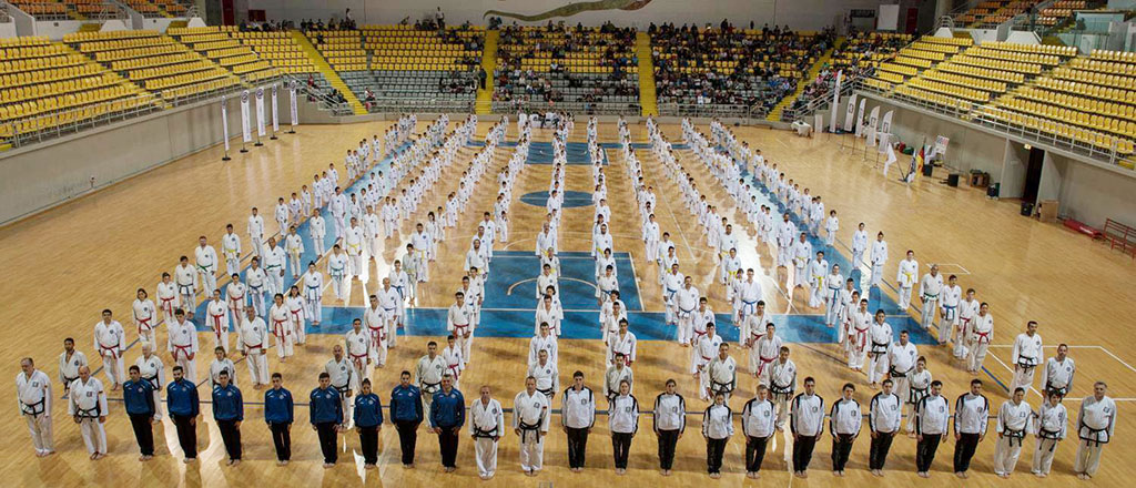 Die Aufnahme ist von oben und in einer Turnhalle fotografiert. Sie zeigt den Länderkampf im Taekwon-Do zwischen Deutschland und Zypern. in der Mitte des Feldes stehen aufgereiht die Teilnehmer und schauen von den Zuschern weg, in eine Richtung.