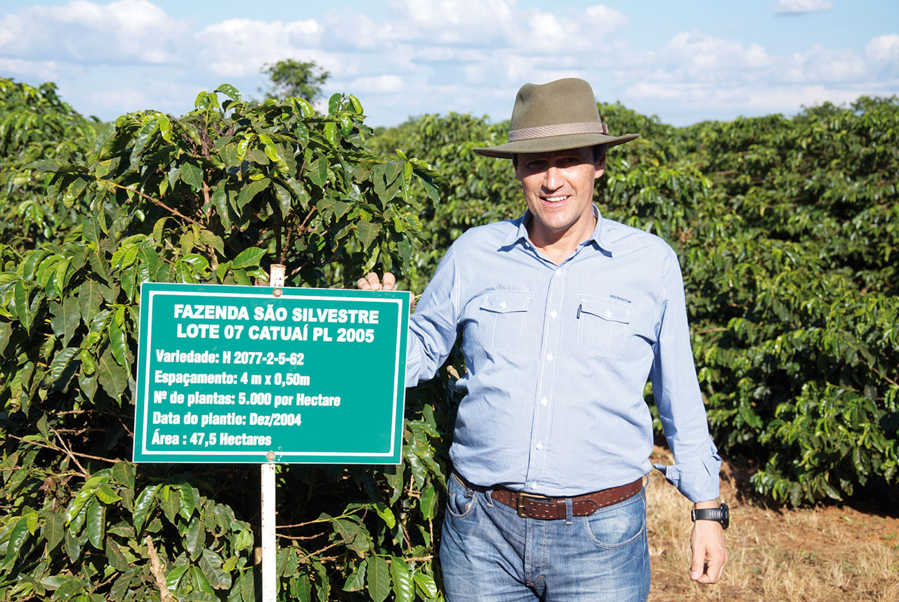 Abbildung einer Kaffeeplantage, davor steht der Besitzer mit Sonnenhut auf dem Kopf und einem Schild in der Hand, auf dem steht: Fazenda Sao Silvestre.