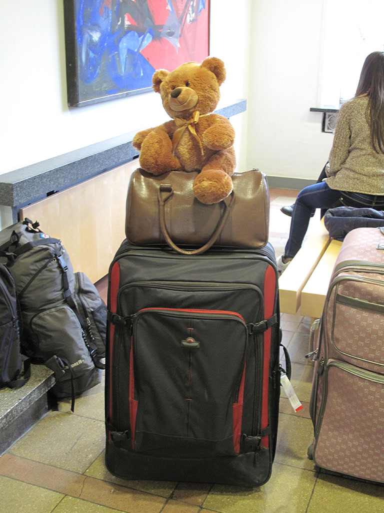 Das Foto illustriert den Beitrag „Eine Checkliste hilft … beim Auszug aus dem Wohnheim“. Der Auszug aus dem Wohnheim wird hier symbolisiert durch einen gepackten Koffer, auf dem ein Teddybär sitzt.